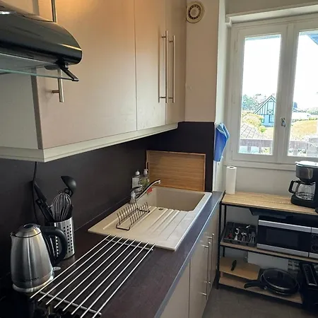 Apartment Cabourg: Bel 3 Pieces Vue Mer, 2 Balcons, Animaux Admis - Fr-1-487-370 *