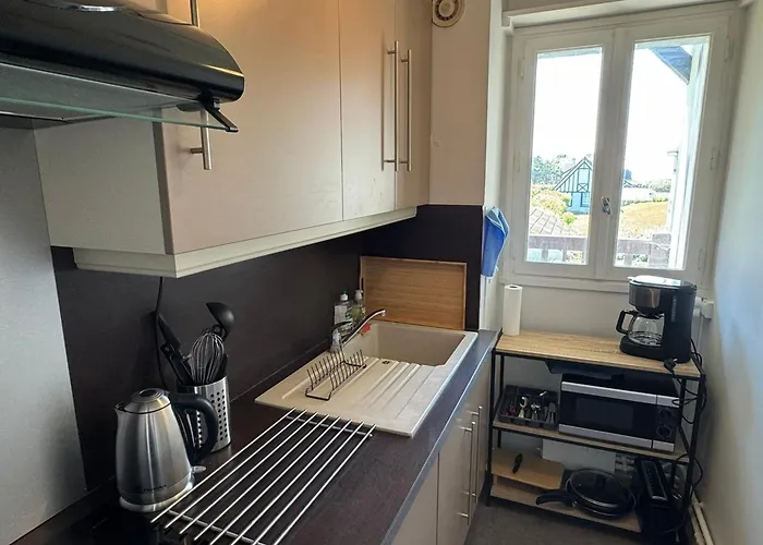 Apartman Cabourg: Bel 3 Pieces Vue Mer, 2 Balcons, Animaux Admis - Fr-1-487-370 *